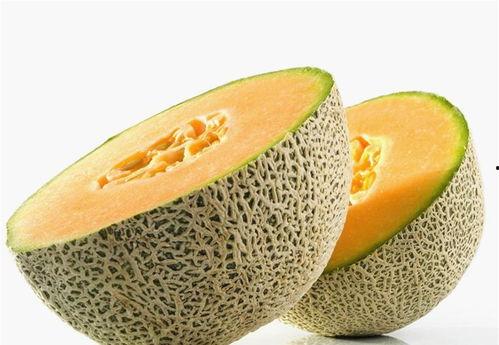 断奶吃哈密瓜