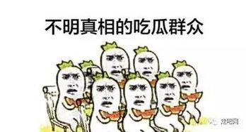 吃瓜总不,揭秘吃瓜群众的趣味世界