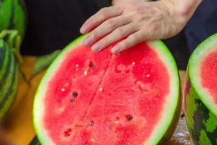 瓜哥吃瓜奇葩的名,揭秘那些令人瞠目结舌的奇葩事件