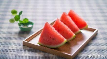 小鲤与琥珀吃瓜