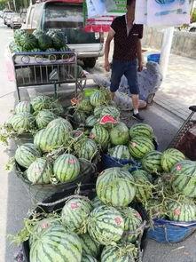 柳州江边吃瓜事件,一场引发热议的街头冲突