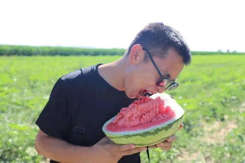 召唤吃瓜,揭秘网络召唤吃瓜背后的文化现象