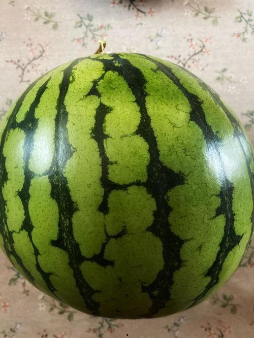 演出结束吃瓜,幕后瓜料大揭秘！