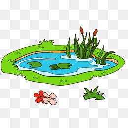 池塘里吃瓜动画,一场动画中的生态奇观