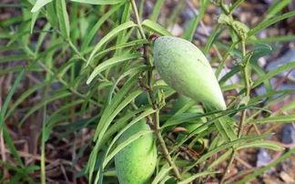 吃瓜小瓢,揭秘娱乐圈那些不为人知的幕后故事