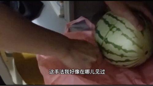 吃瓜趣事搞笑合集,笑料横生！吃瓜趣事搞笑合集大盘点