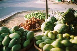 吃瓜群众打卡中国,探寻美食与文化的奇妙之旅