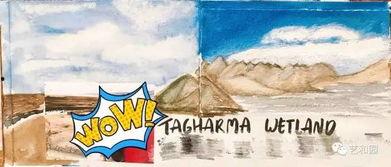 朝阳吃瓜群众2,揭秘娱乐圈背后的故事