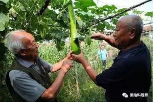 吃瓜男子被砍,真相令人震惊