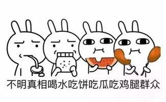 词汇吃瓜什么意思,揭秘“吃瓜”一词背后的网络文化现象