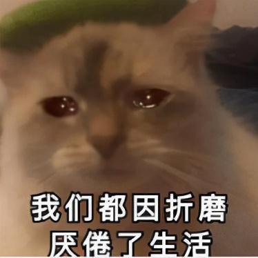 吃瓜顶流后续,揭秘娱乐圈背后的风云变幻