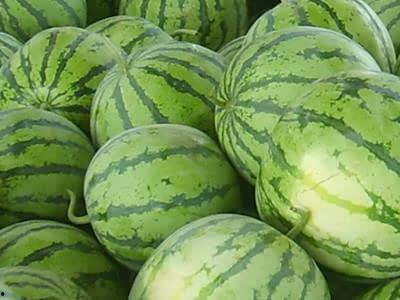 梦见分瓜给同事吃