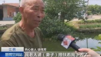 吃瓜饭店老板,揭秘美食背后的故事与人生百态