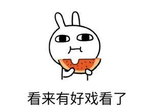 不愿再吃瓜掉队,不掉队的人生新篇章