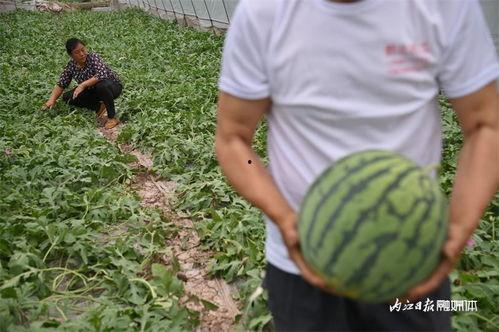 山管吃瓜君,揭秘娱乐圈那些不为人知的幕后故事