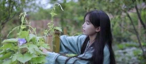 吃瓜剧组柒柒,揭秘吃瓜剧组的幕后故事