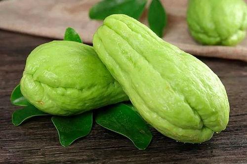 吃茭瓜有坏处吗,吃茭瓜的潜在坏处与注意事项