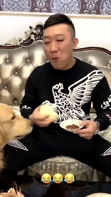 陈哇塞吃瓜,揭秘娱乐圈幕后故事