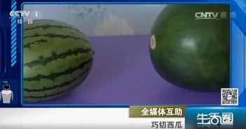 吃瓜不吐籽变西瓜,神奇的自然现象揭秘