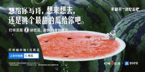 学校的吃瓜文案